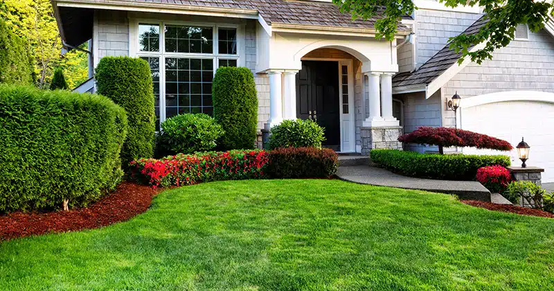 Traditional residential landscaping