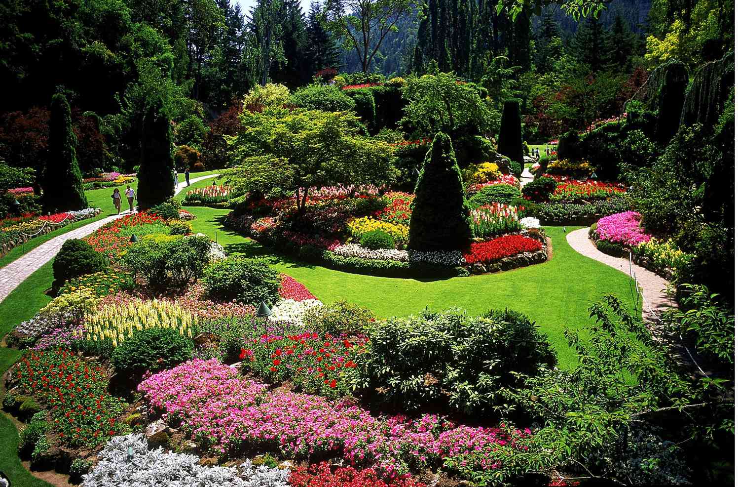 Backyard garden path